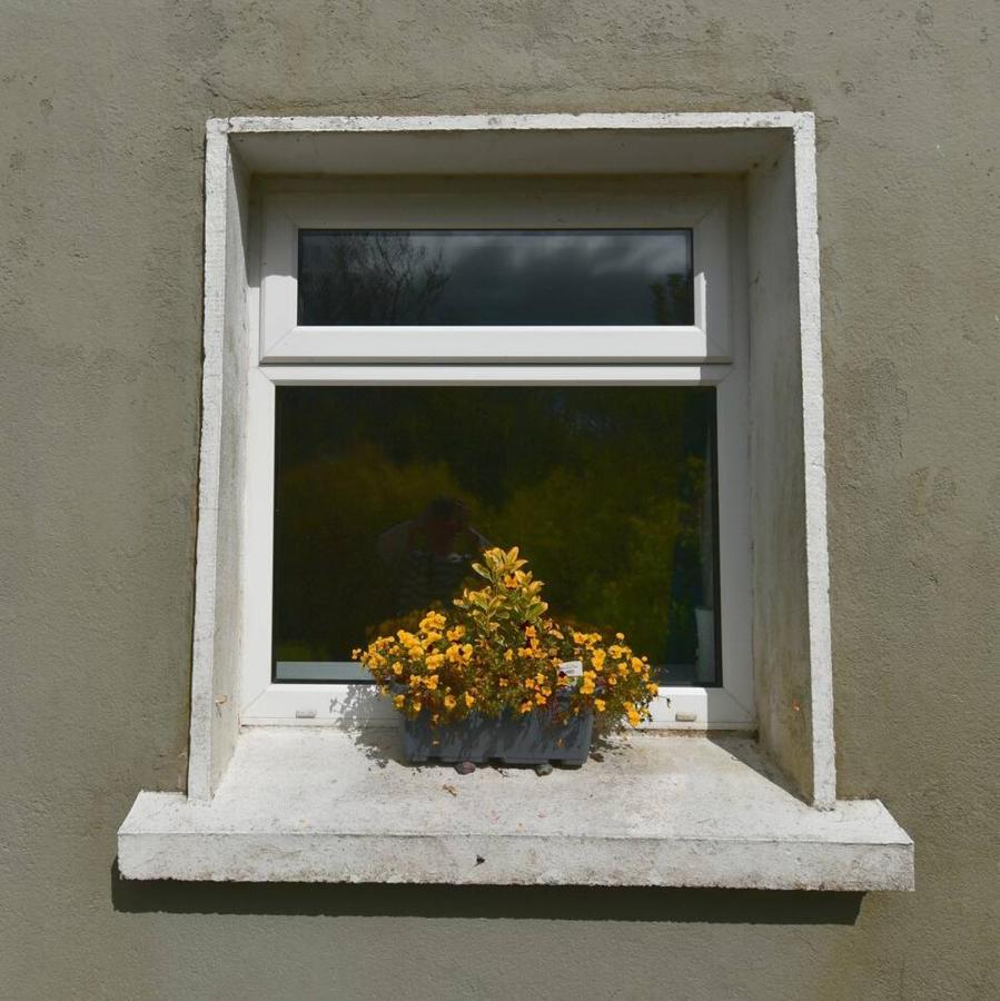 Peaceful Cottage Cork Exteriér fotografie
